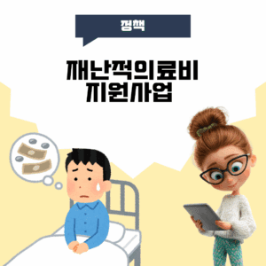재난적의료비지원사업