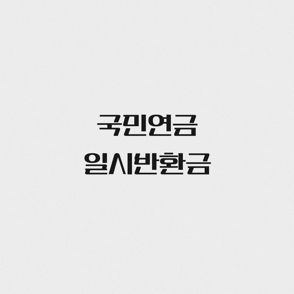 국민연금 일시 반환금